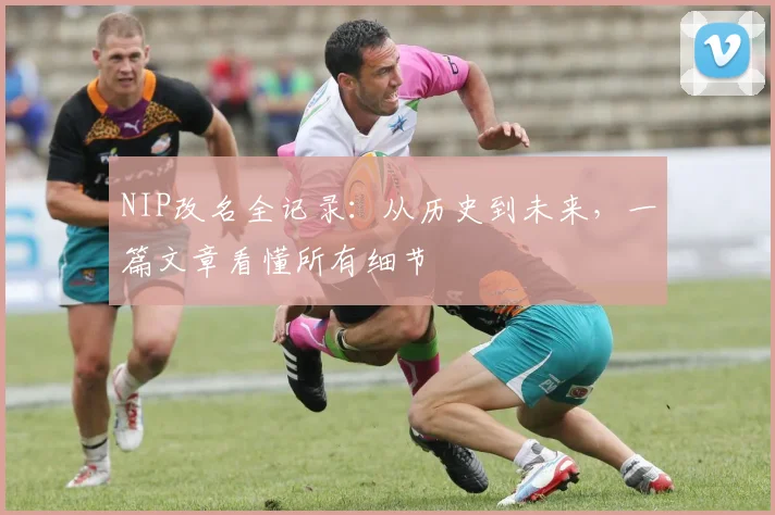 NIP改名全记录:从历史到未来,一篇文章看懂所有细节