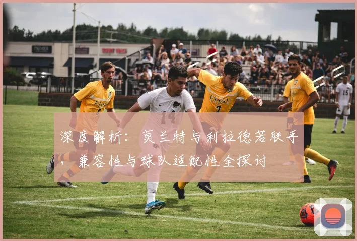 深度解析：莫兰特与利拉德若联手，兼容性与球队适配性全探讨