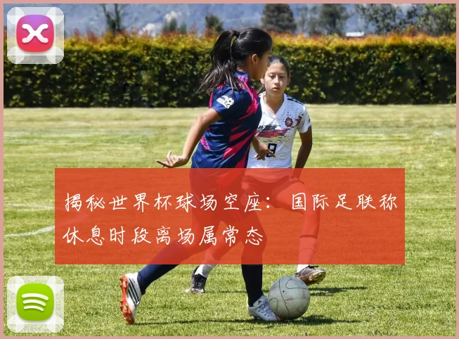 揭秘世界杯球场空座:国际足联称休息时段离场属常态