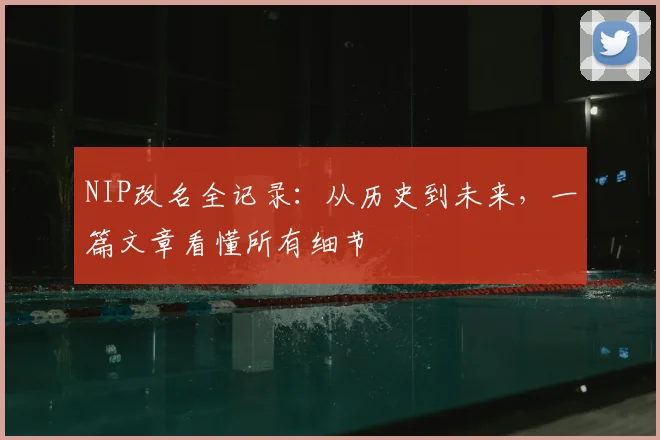 NIP改名全记录:从历史到未来,一篇文章看懂所有细节